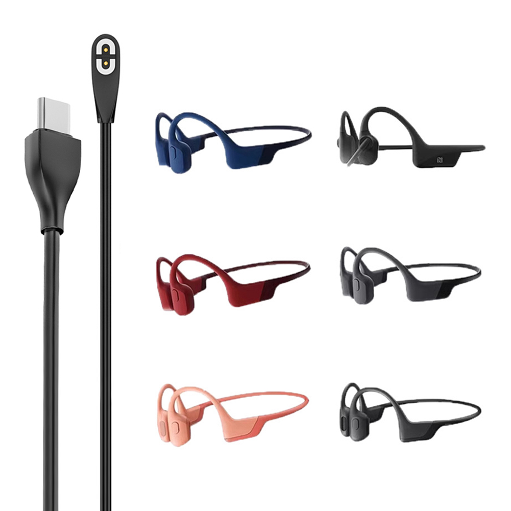 磁気充電器 USB/Type-C 充電ケーブル Shokz  - Skyrc B6 Neo Smart Charger のレビューと価格
